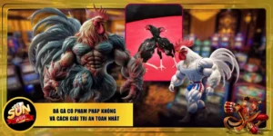 Đá gà có phạm pháp không